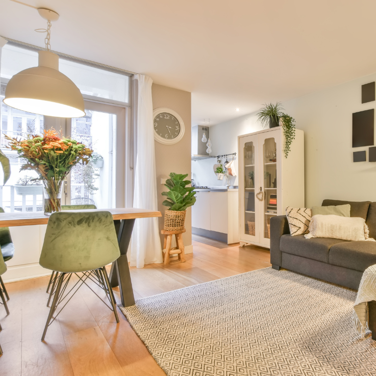 Home Window cleaning